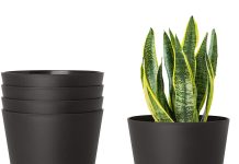 گلدان پلاستیکی گیاهان آپارتمانی گلدان گیاهان آپارتمانی